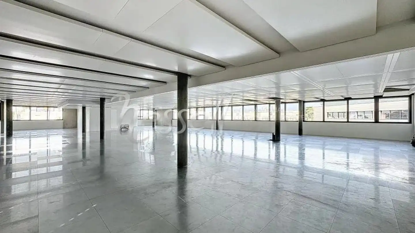 Commerciale in affitto - 1214 Vernier