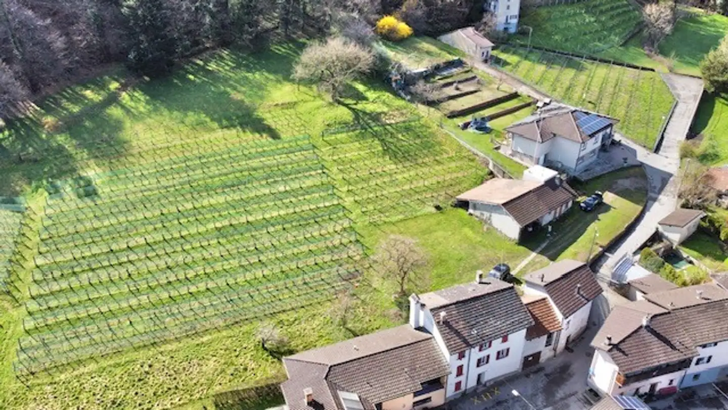 Terreno edificabile in vendita - In Cumlina 29, 6528 Camorino - Photo 3