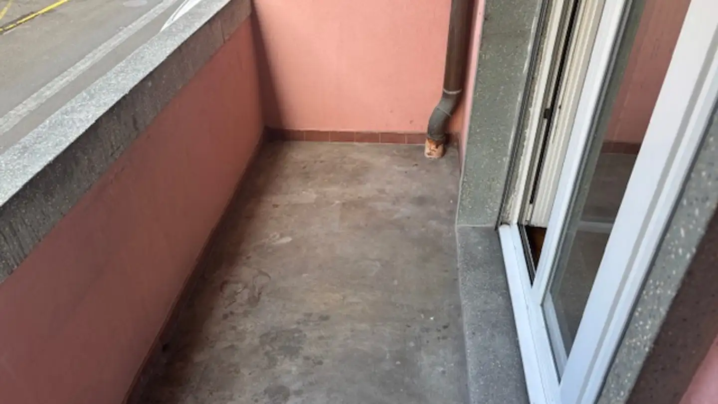 Appartement à louer - Rue Des Fortifications 18, 1844 Villeneuve VD - Photo 4