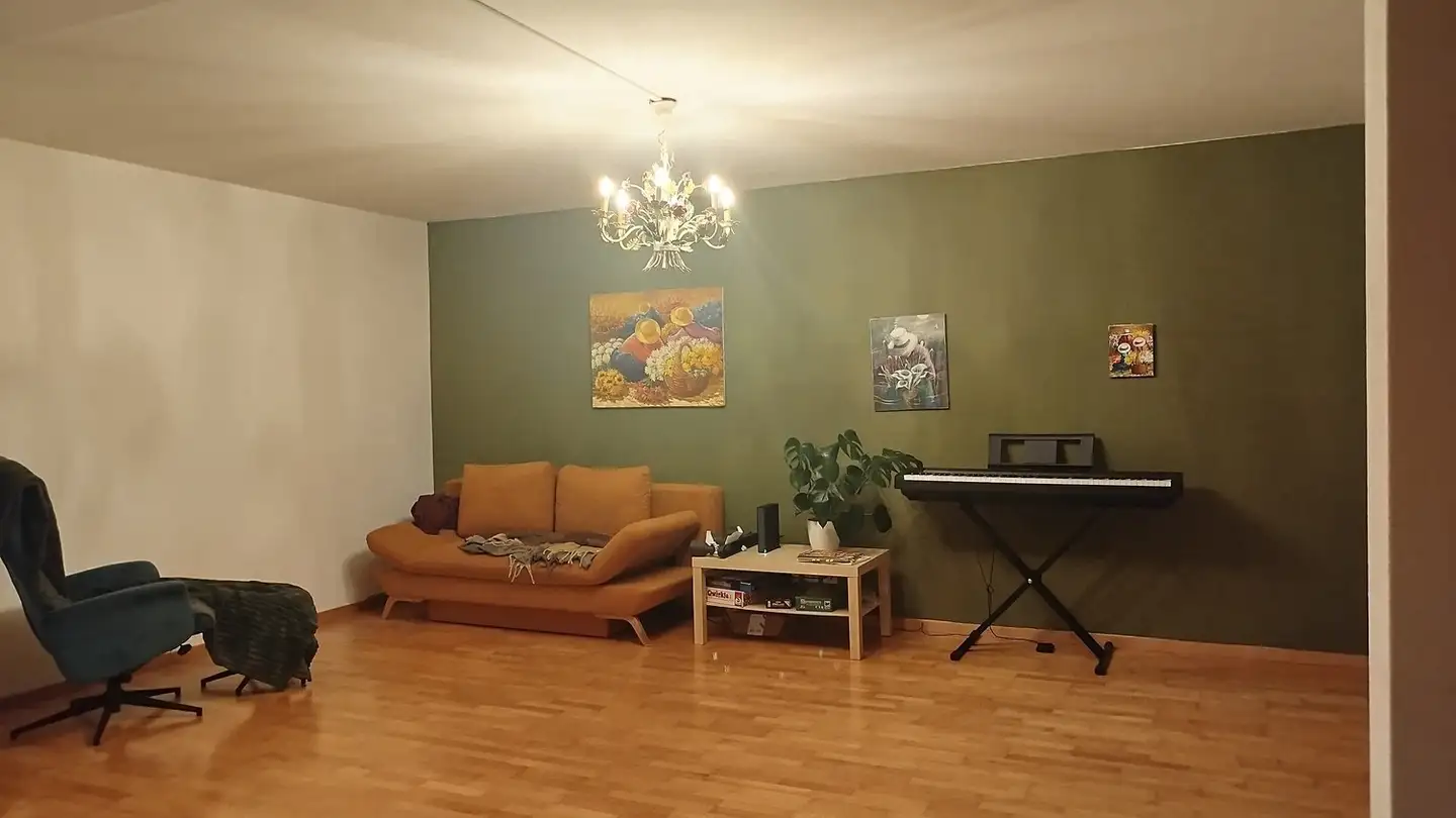 Single room for rent - Sonnenbergstrasse 28, 8102 Oberengstringen - Photo 2
