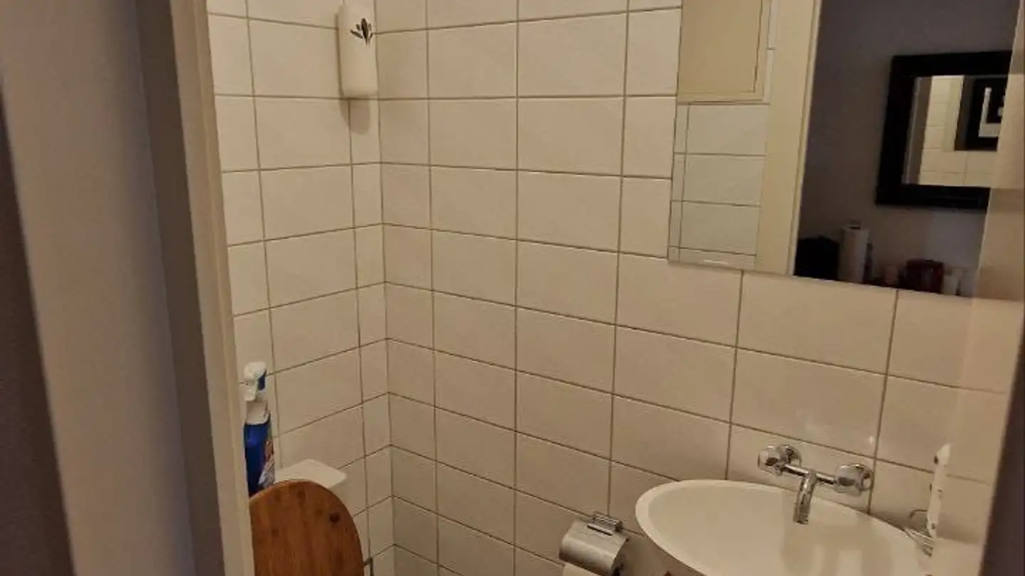 Single room for rent - Sonnenbergstrasse 28, 8102 Oberengstringen - Photo 4