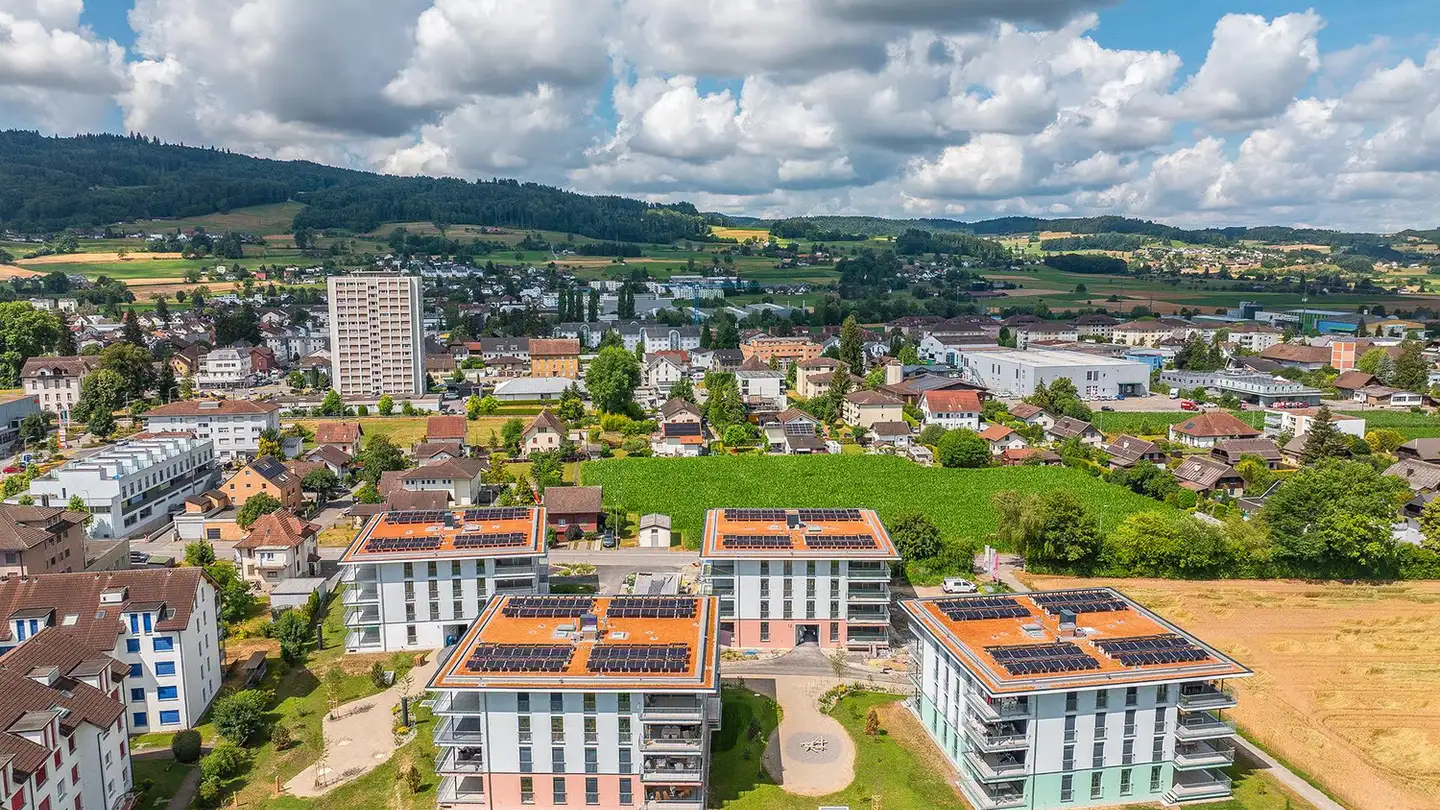 Appartamento in affitto - Kanalstrasse 6, 5734 Reinach AG - Foto 2