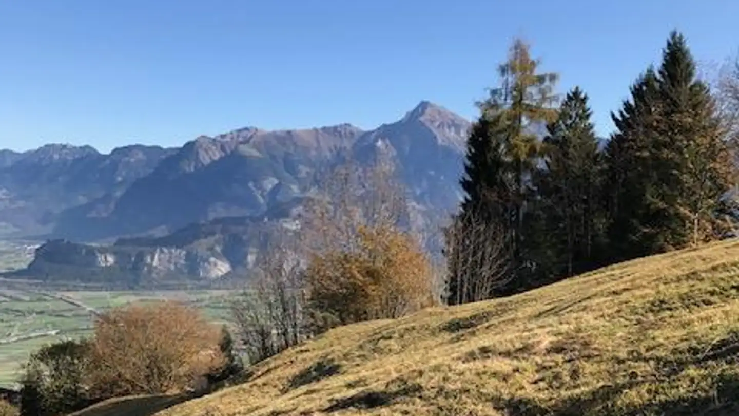 Terrain constructible à vendre - Vorderbergstrasse, 7323 Wangs - Photo 3