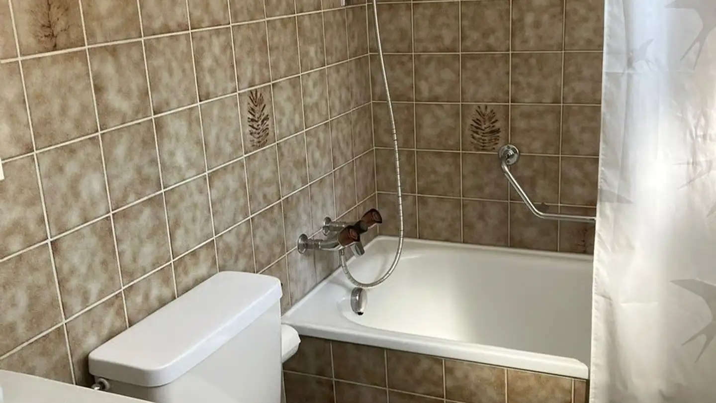 Appartamento in affitto - Rietwiesstrasse 37, 8737 Gommiswald - Foto 4