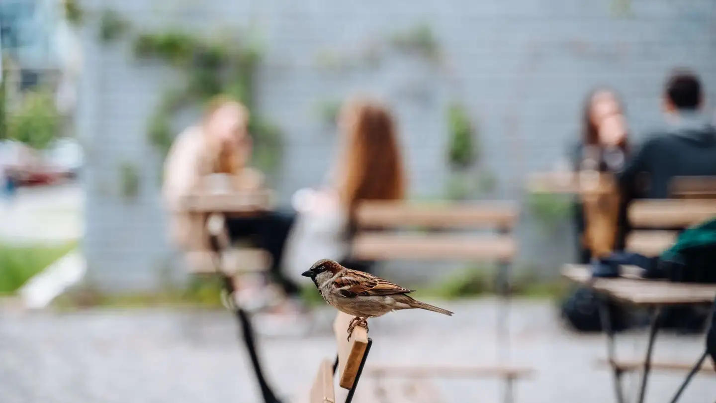 Restaurant for sale - 1906 Charrat - Photo 4