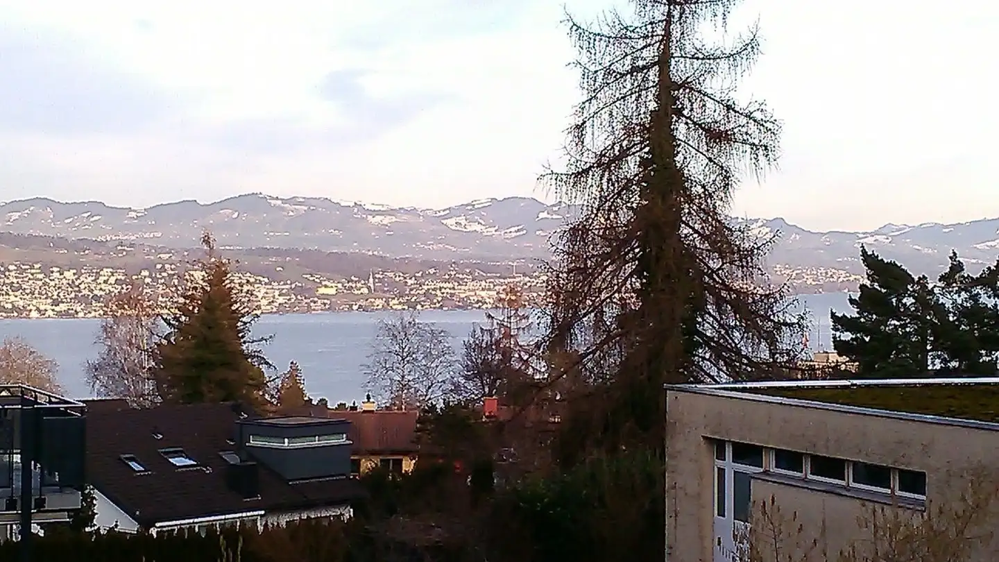 Appartement à louer - Schönenbergstrasse 86, 8820 Wädenswil - Photo 3