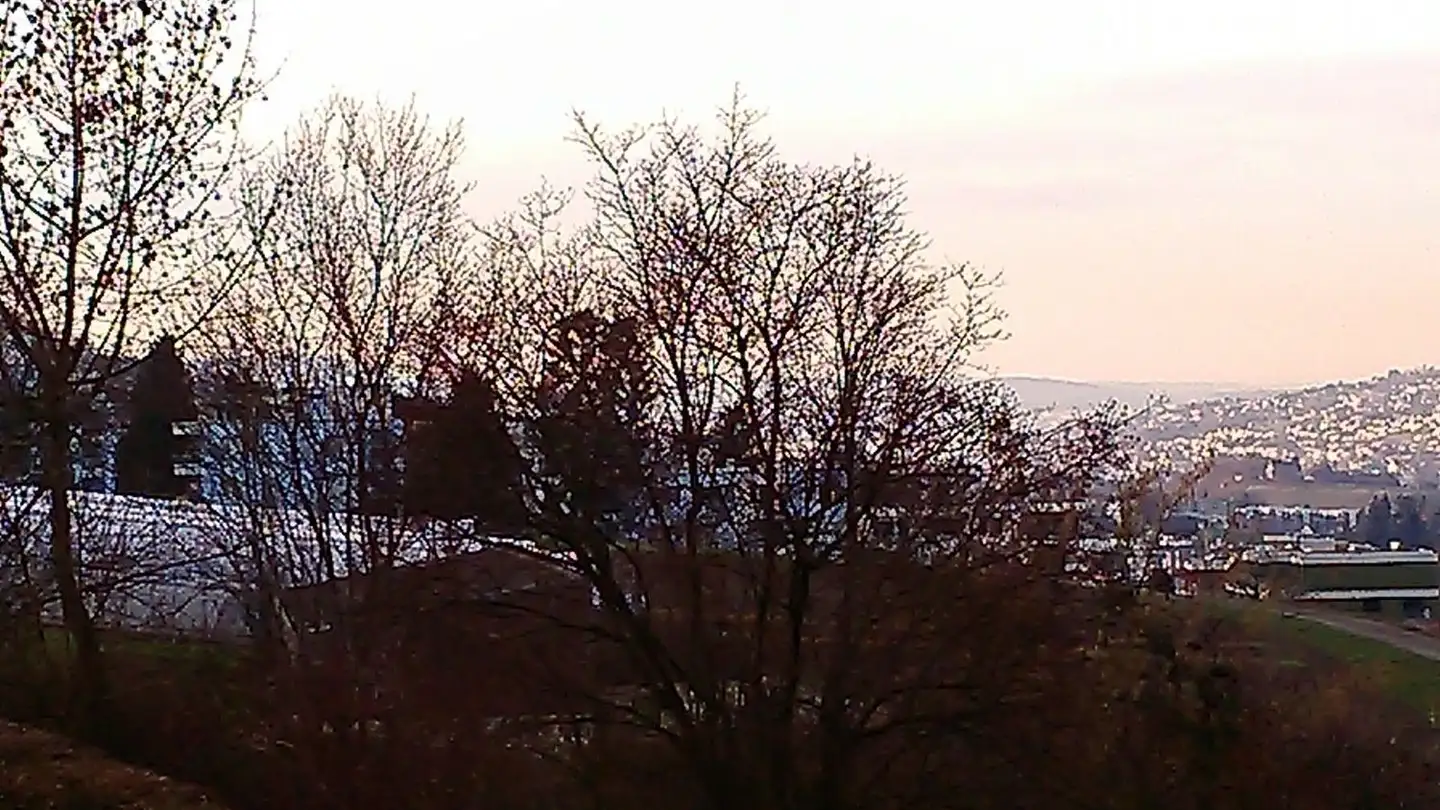 Appartement à louer - Schönenbergstrasse 86, 8820 Wädenswil - Photo 4