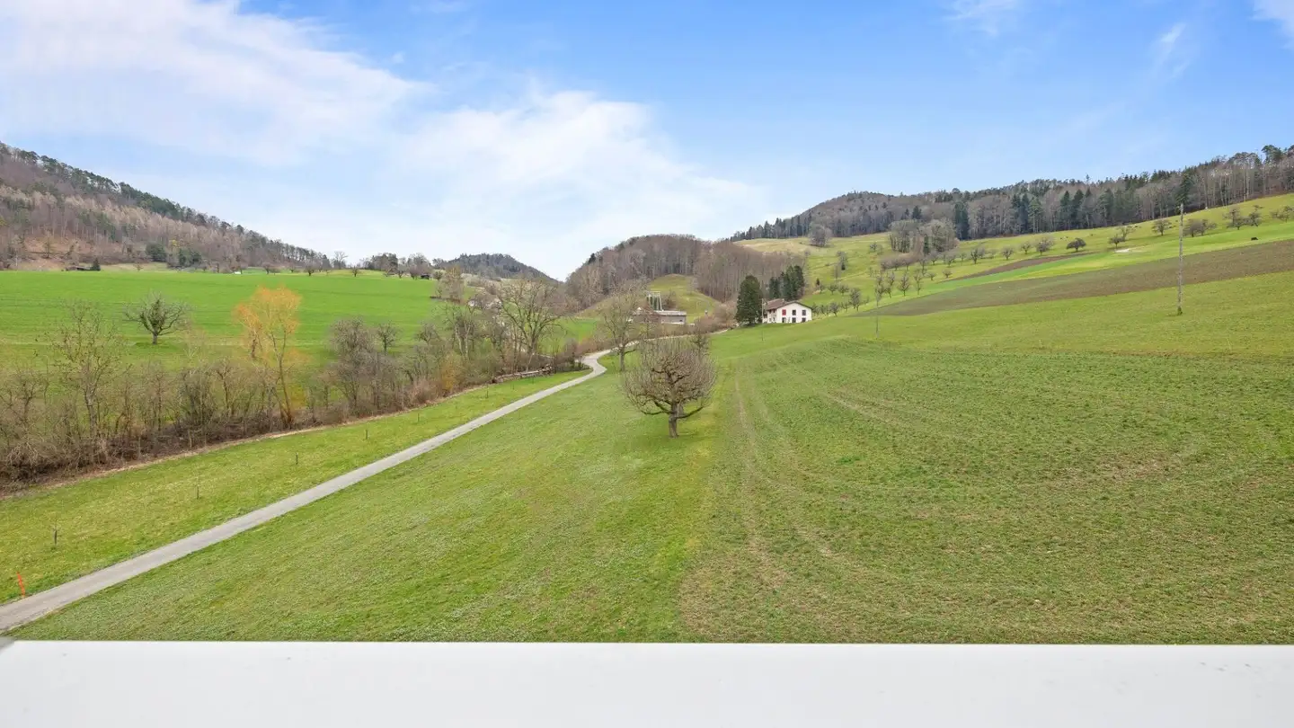 Casa singola in vendita - Weidentalweg 38, 4436 Oberdorf BL - Photo 4