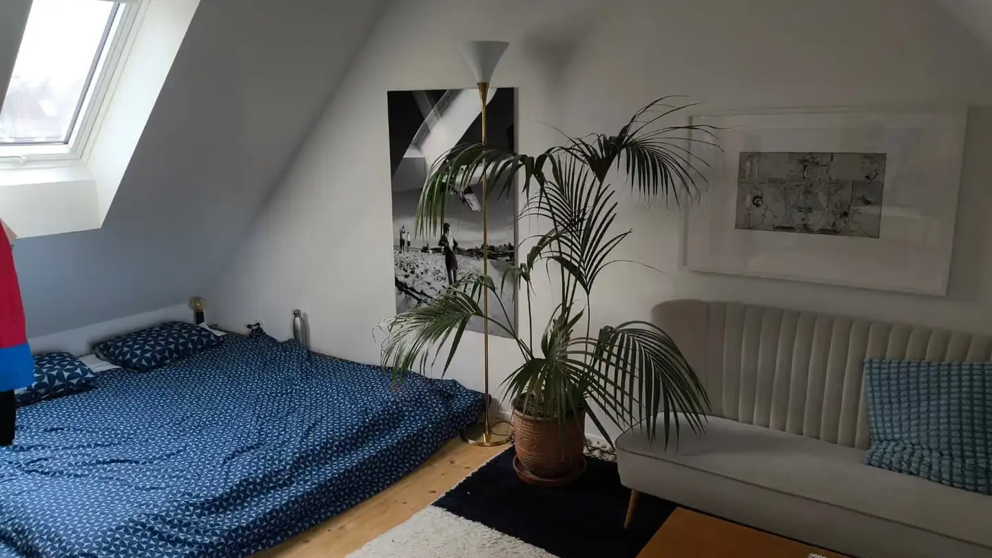 Casa a schiera in affitto - Glaserweg 6, 8400 Winterthur - Foto 3