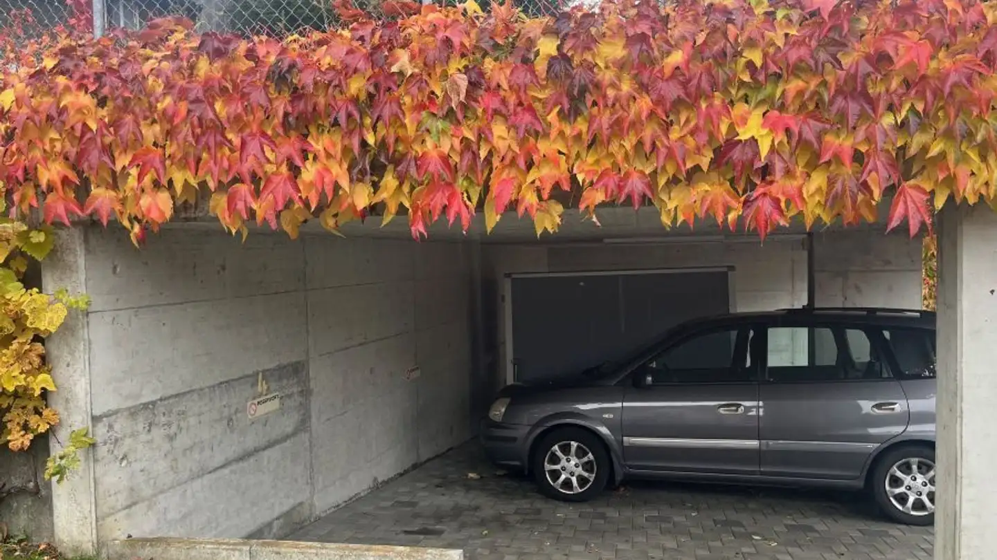 Parcheggio coperto in affitto - Kirchgasse 29, 3812 Wilderswil - Photo 4