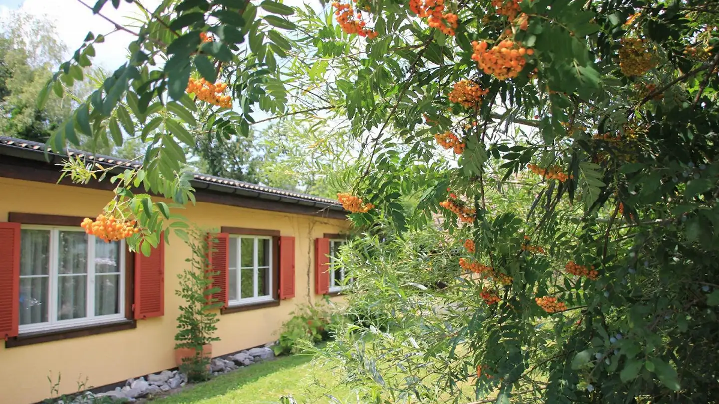 Maison jumelle à louer - Hofacherstrasse 31, 8637 Laupen ZH