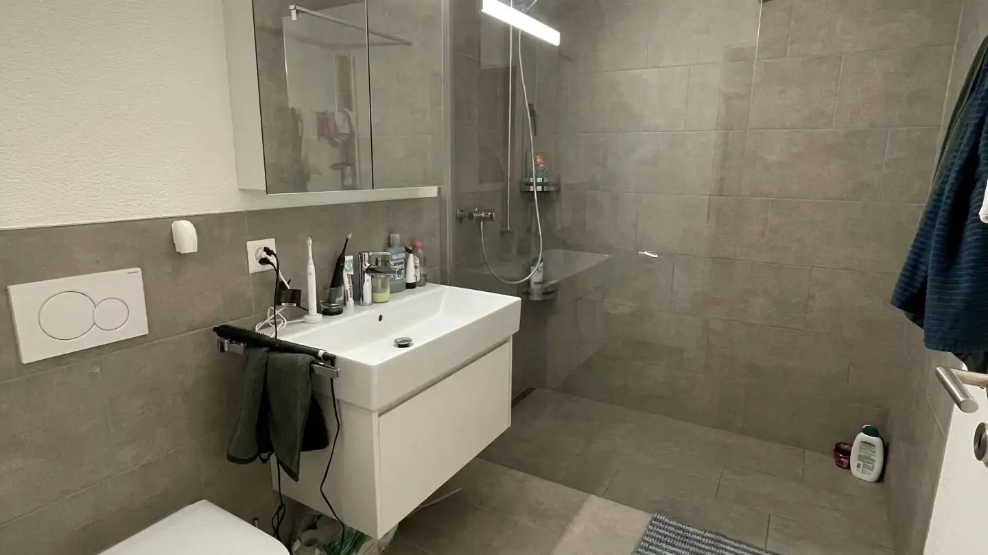 Wohnung mieten - Hostetweg, 5704 Egliswil - Foto 4