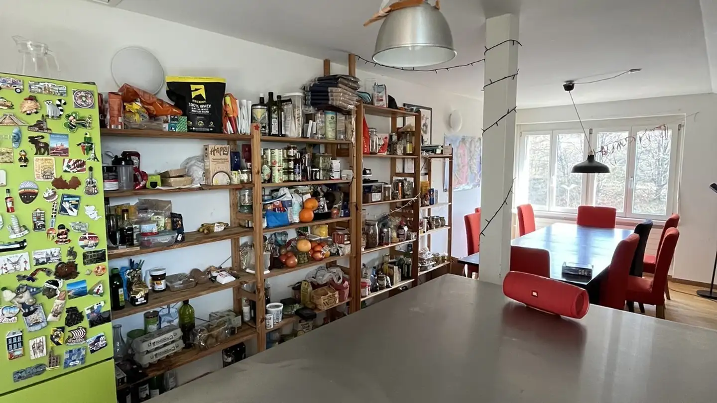 Single room for rent - Hirschwiesenstrasse 9, 8057 Zürich - Photo 4