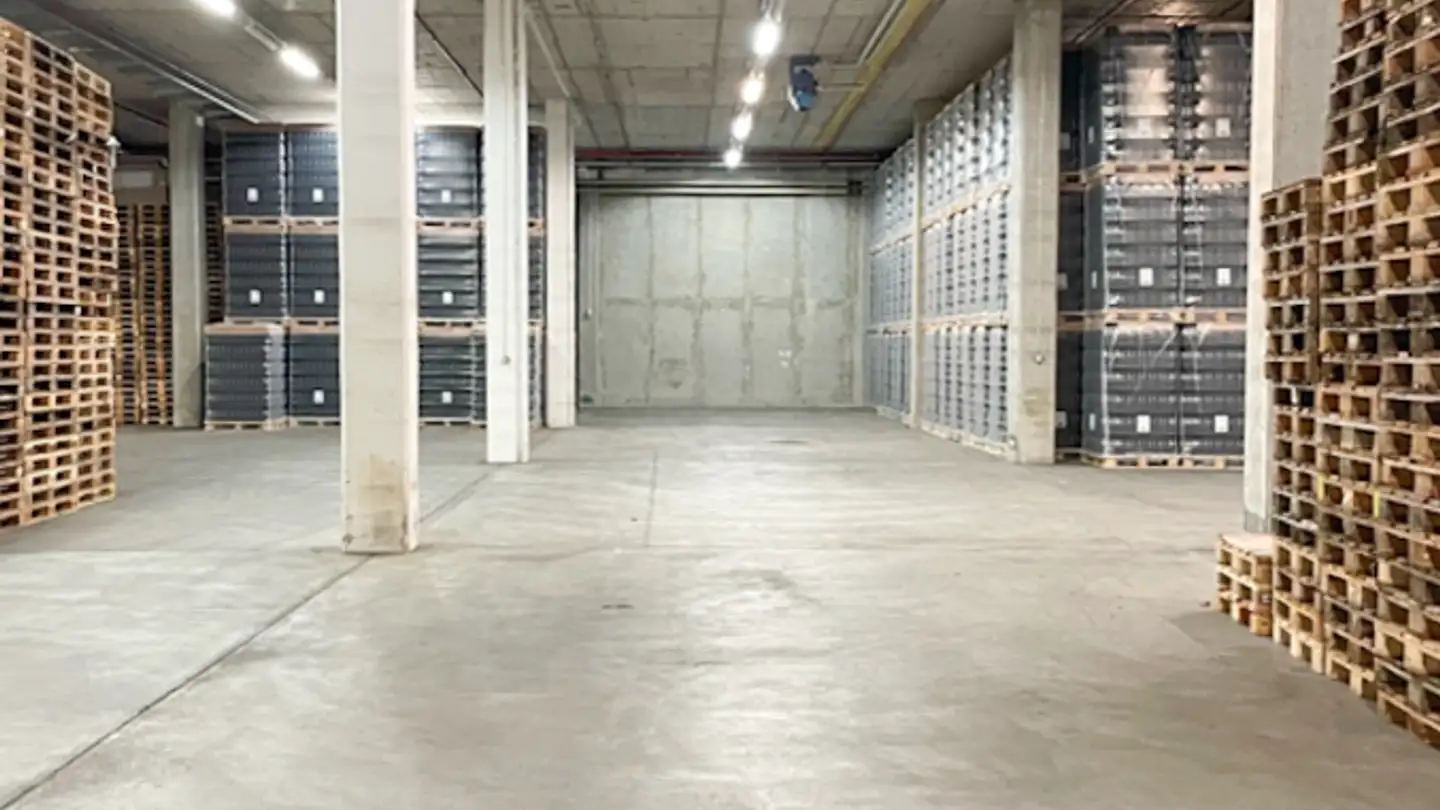 Storage space for rent - 1165 Allaman - Photo 2