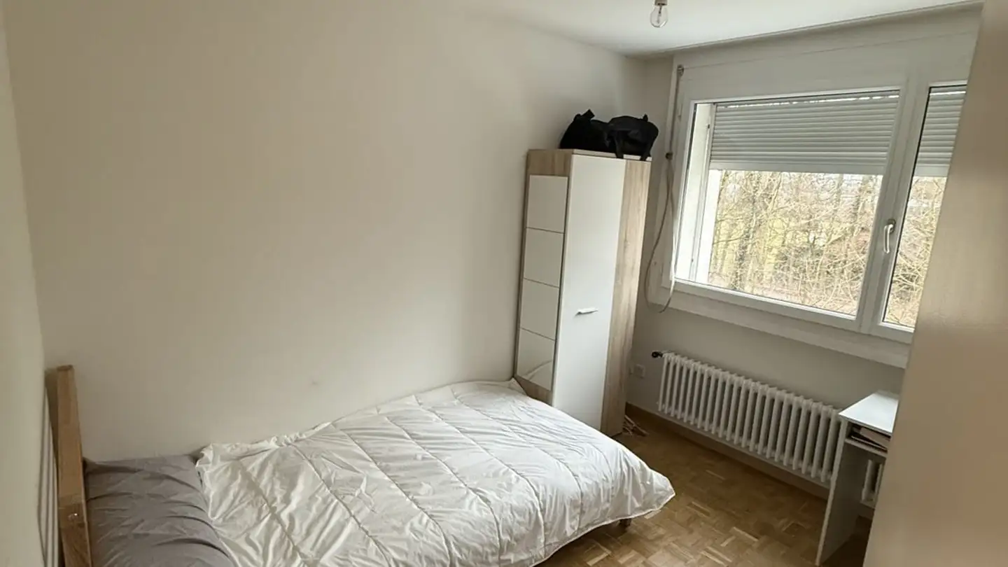 Single room for rent - Kirchweg 79, 8102 Oberengstringen