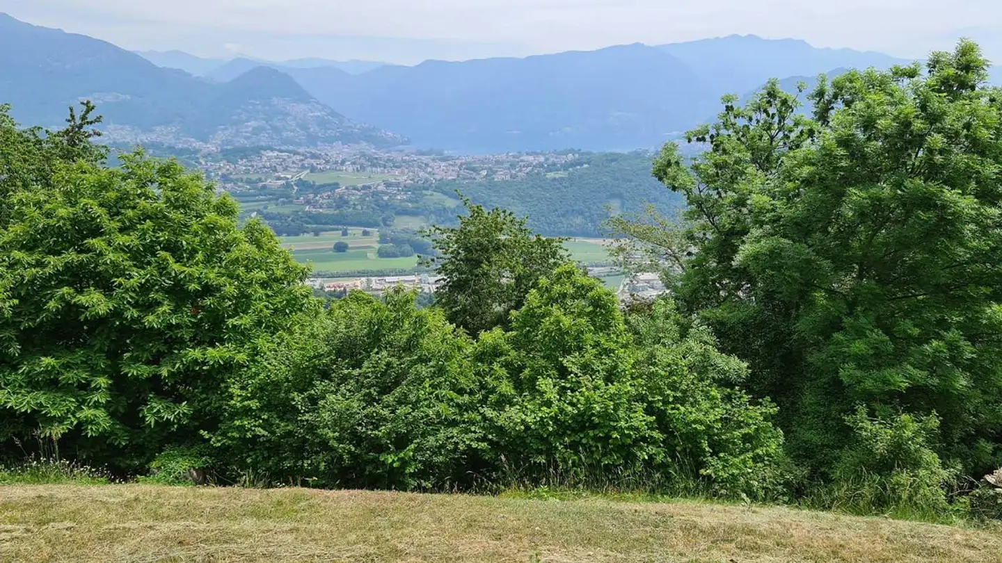 Gewerbebaugrundstück kaufen - 6936 Cademario - Foto 2