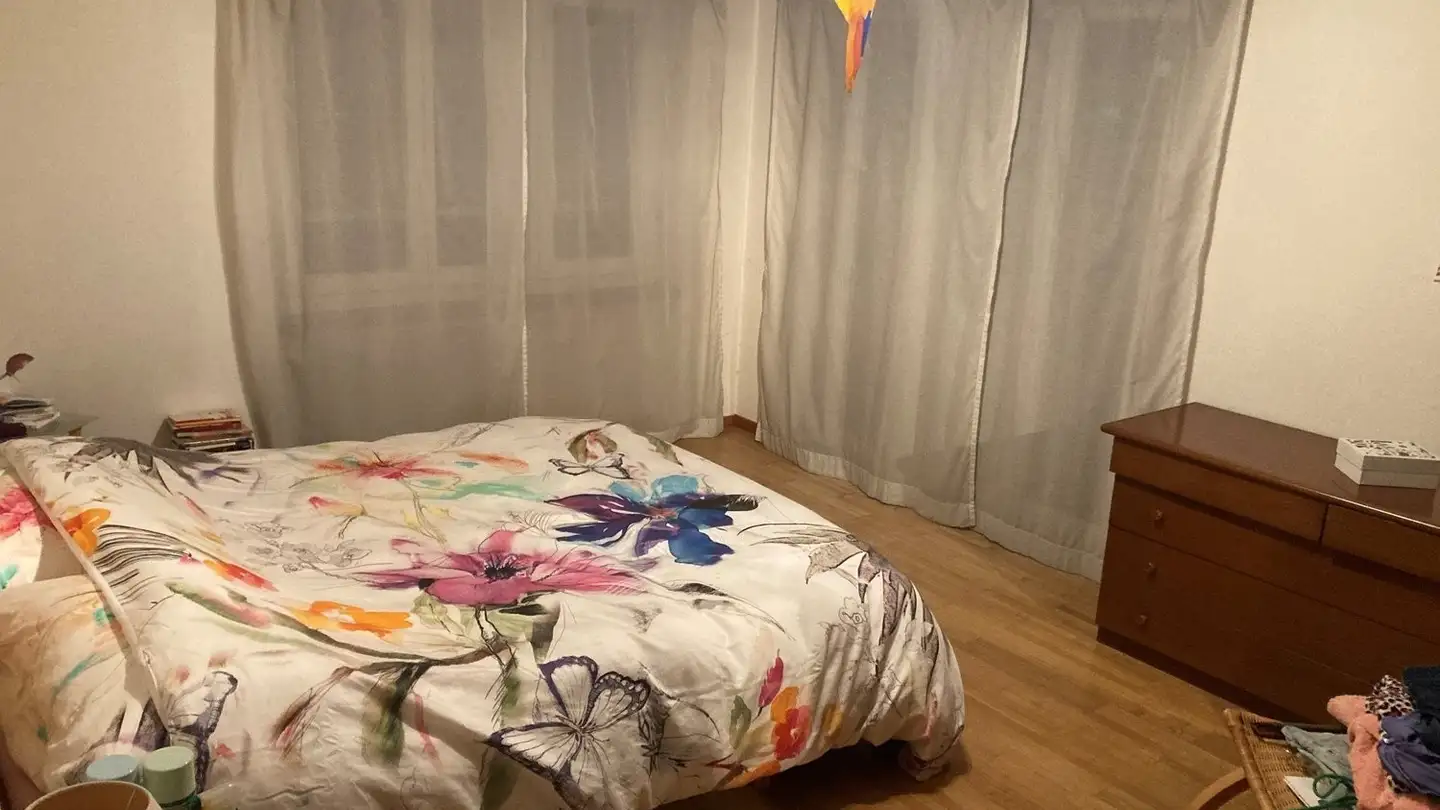 Appartamento in affitto - Al Triulzi 6, 6535 Roveredo GR - Foto 2