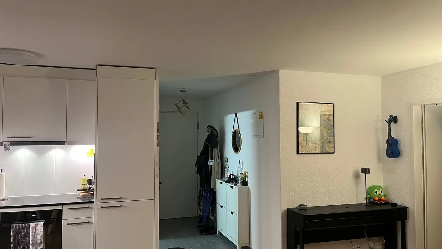 Appartamento in affitto - Rolandstrasse 9, 8004 Zürich - Foto 3