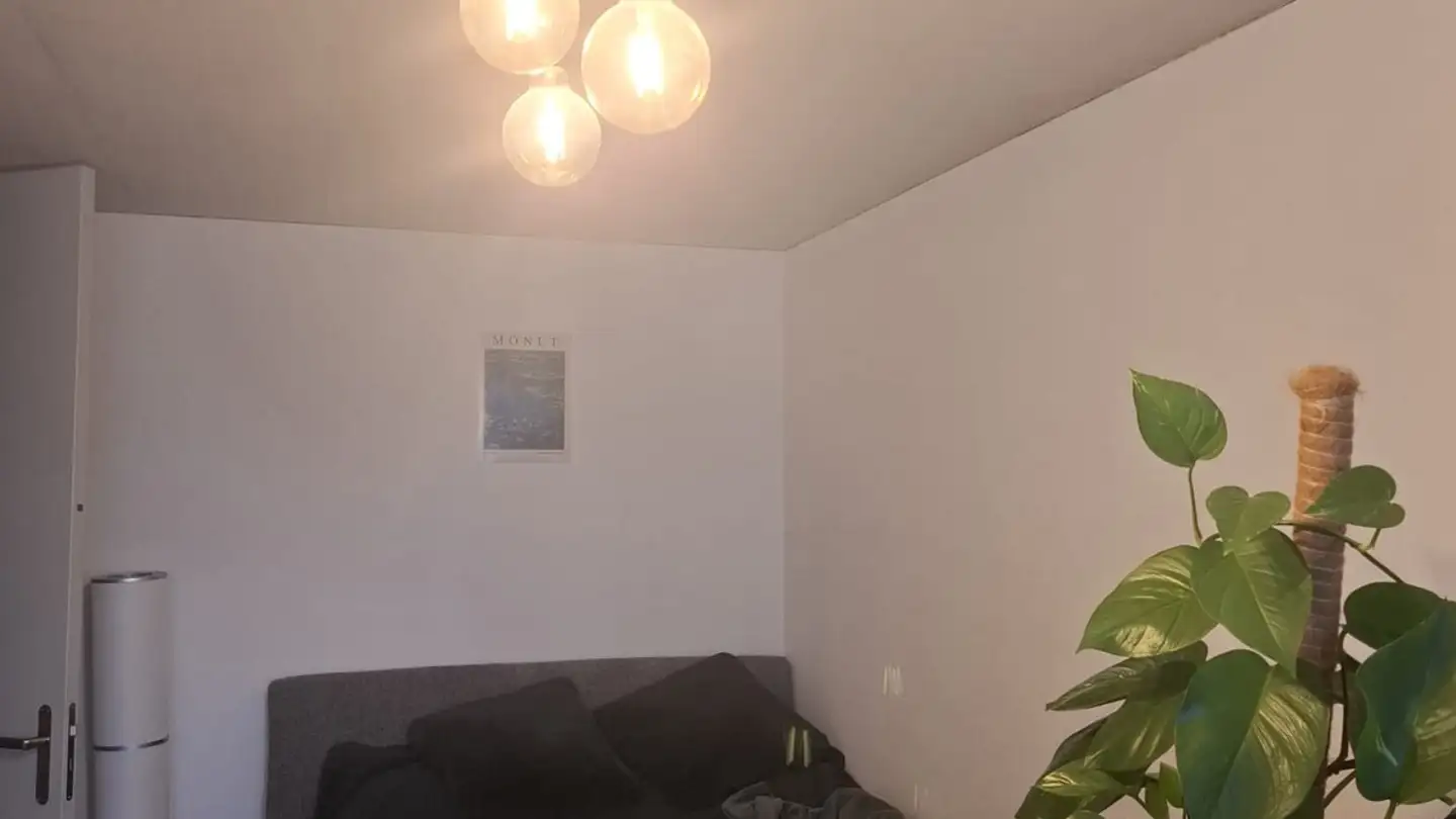 Stanza singola in affitto - Thomasweg 15, 3097 Liebefeld - Foto 2