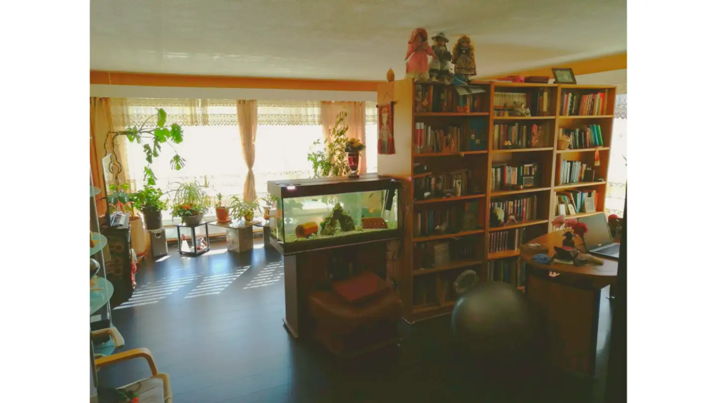 Maison individuelle à vendre - Obisgasse 1, 4538 Oberbipp - Photo 3