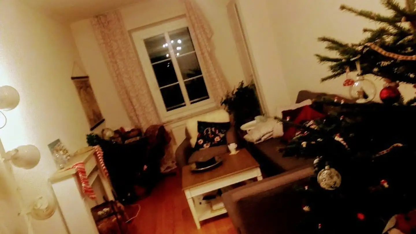 Appartamento in affitto - Chemin Du Risel 5, 1023 Crissier