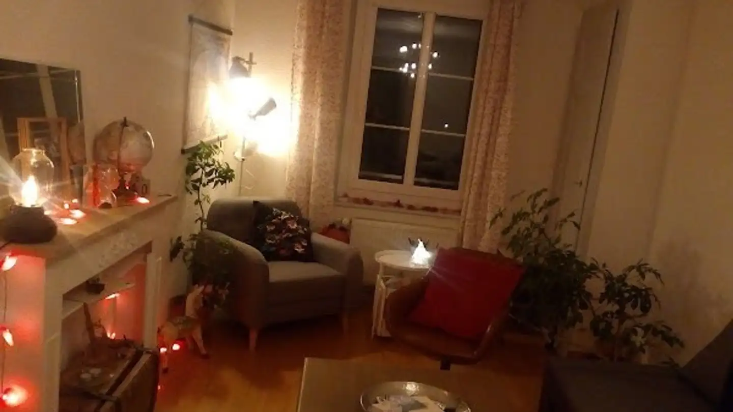 Appartamento in affitto - Chemin Du Risel 5, 1023 Crissier - Foto 2