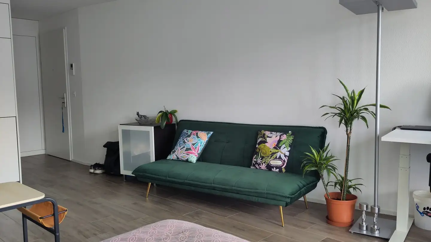 Appartamento in affitto - 8600 Dübendorf - Foto 3