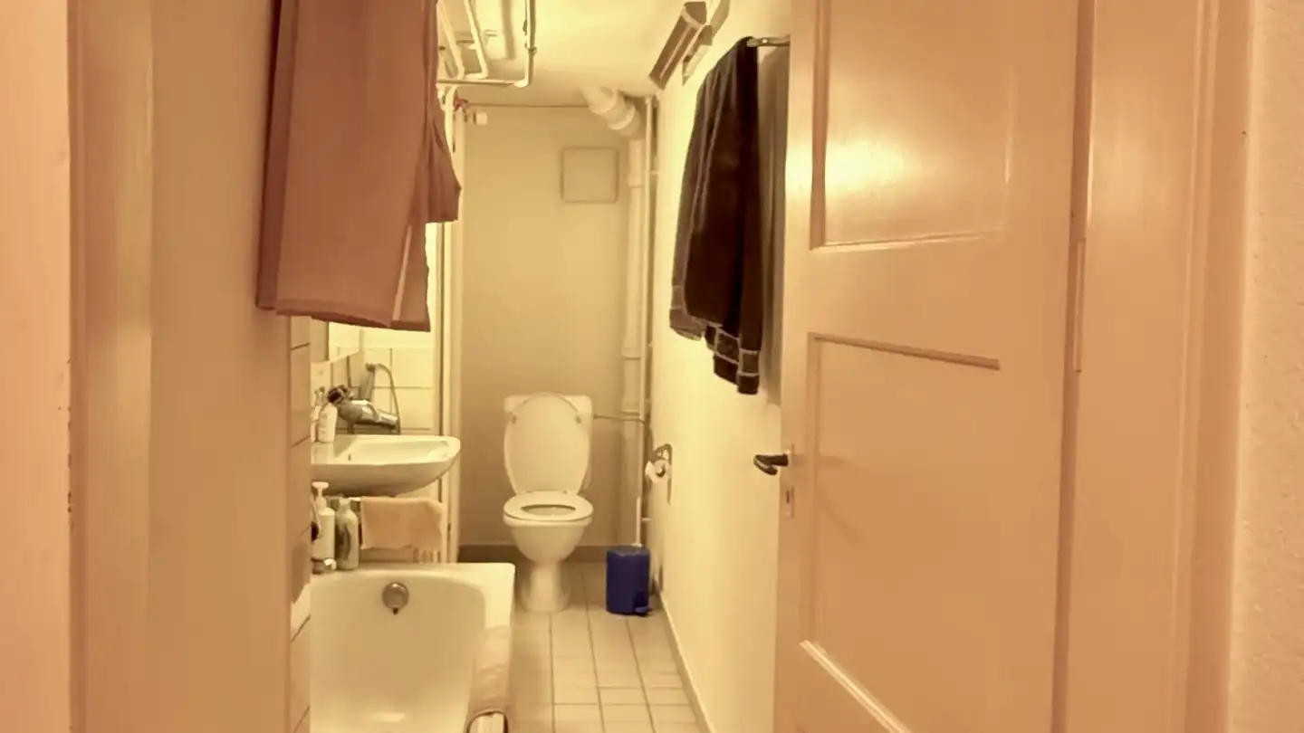 Wohnung mieten - Albisriederstrasse 360, 8047 Zürich - Foto 3