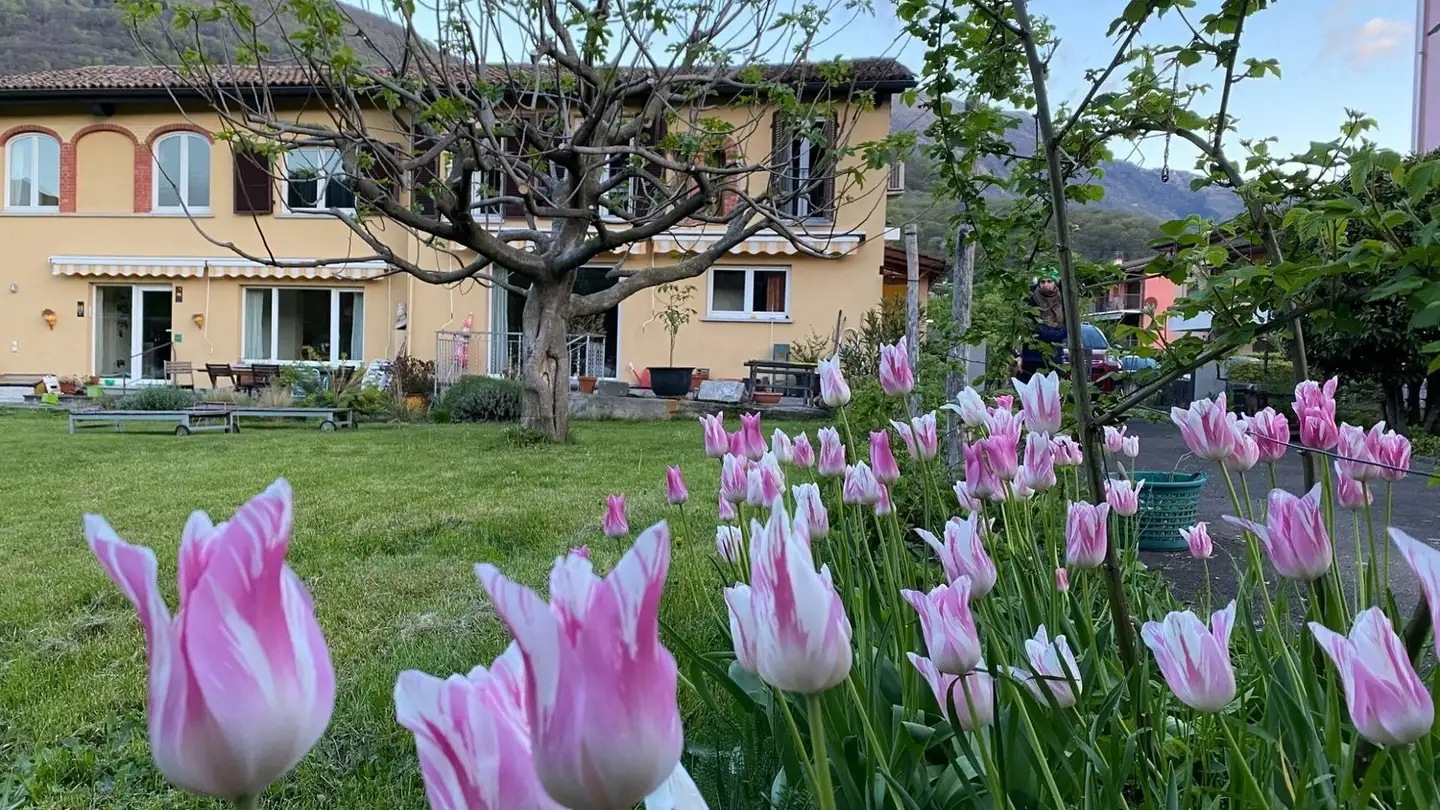 Appartamento in affitto - Via Bicentenario 9, 6807 Taverne - Photo 2