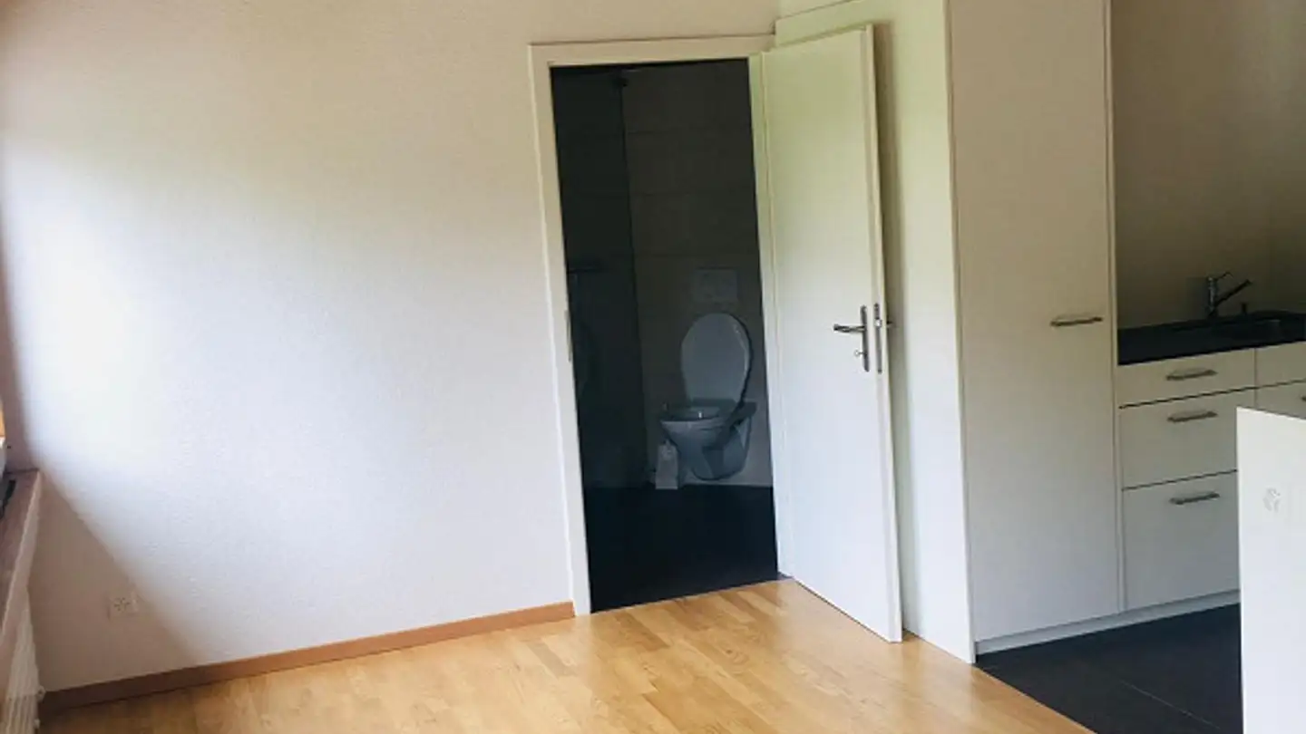 Apartment for rent - Wilerstrasse 1, 9242 Oberuzwil - Photo 4