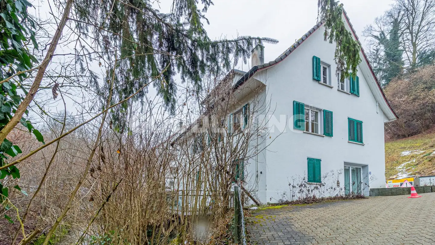 Single house for sale - 8125 Zollikerberg