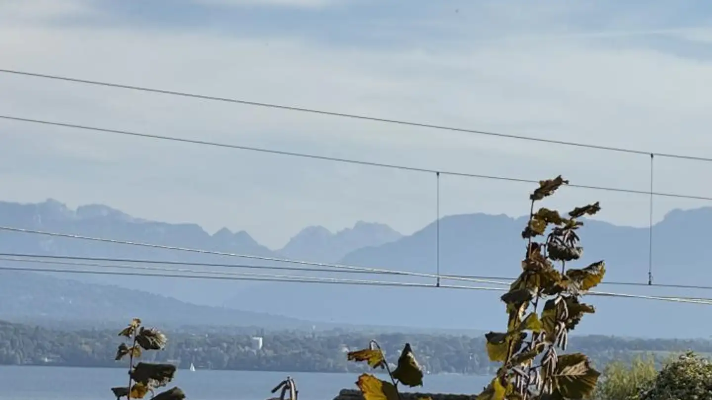 Casa singola in vendita - 1299 Crans-près-Céligny - Photo 4