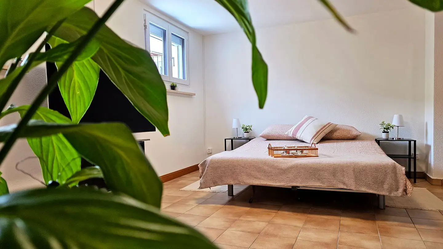 Apartment for rent - Via Trisnera 42, 6616 Losone