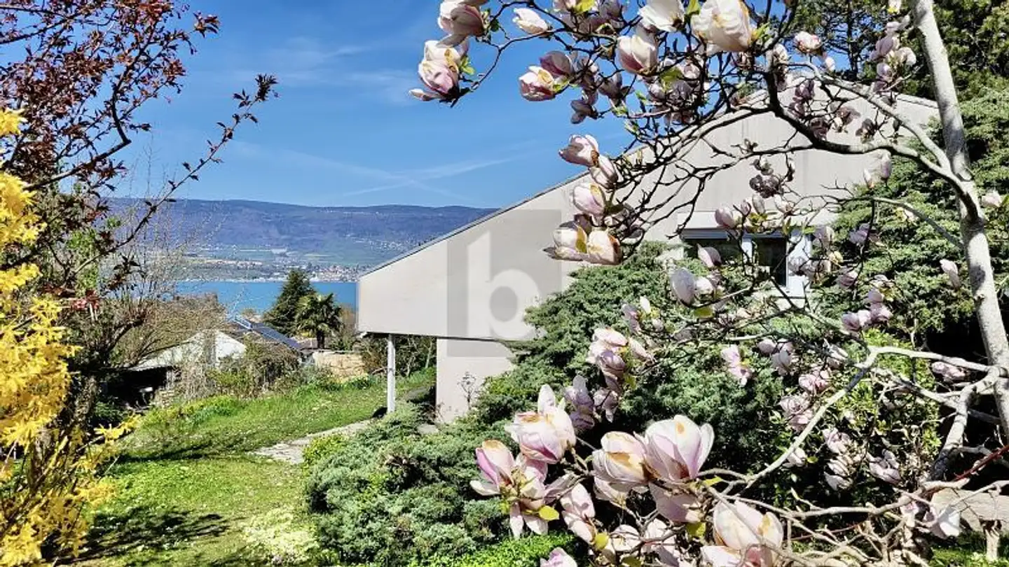 Single house for sale - Avenue Des Bains, 1400 Yverdon-les-Bains