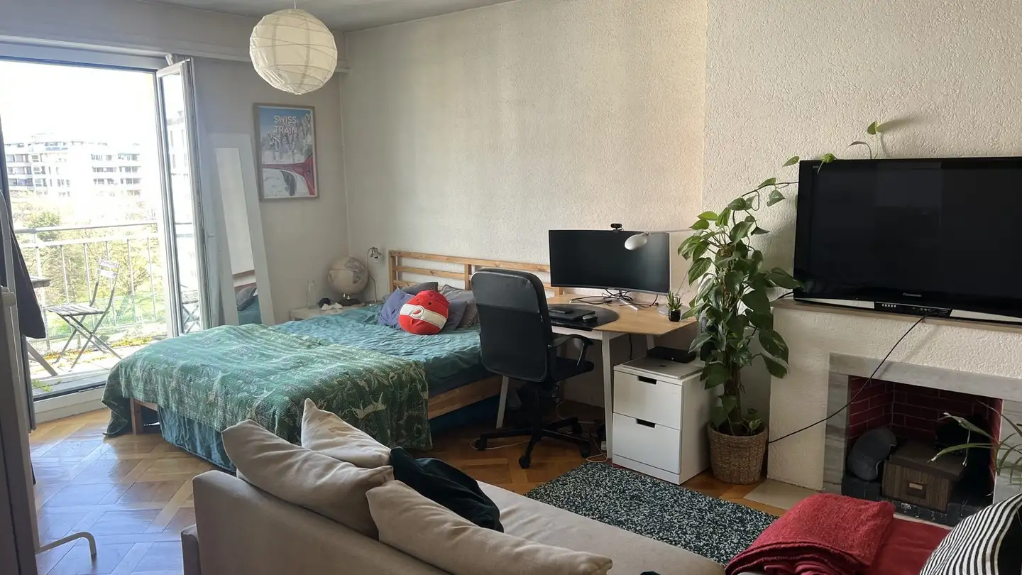 Apartment for rent - Rue Du Grand-Pré 41, 1202 Genève - Photo 2