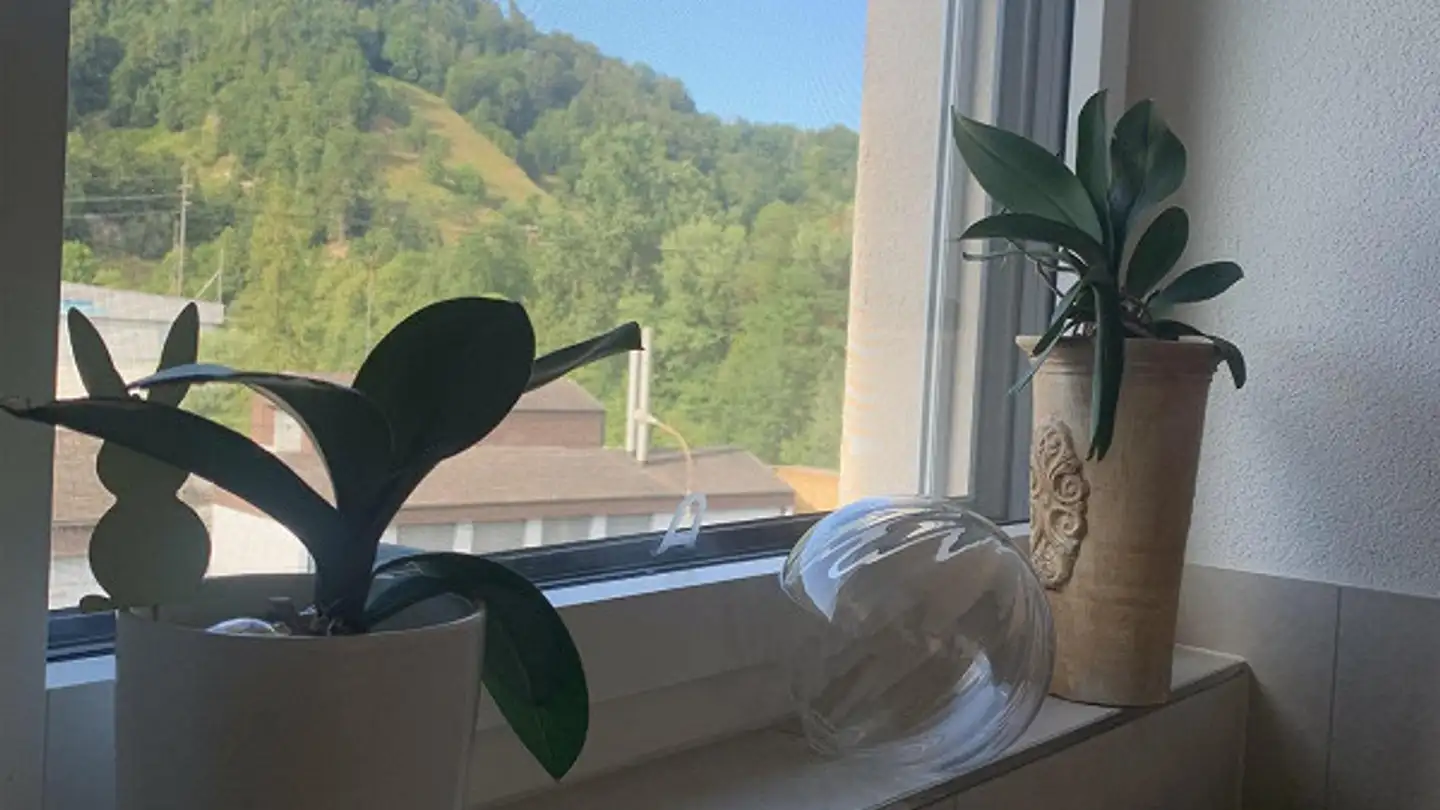 Penthouse for rent - Bahnhofstrasse 28, 6105 Schachen LU - Photo 3
