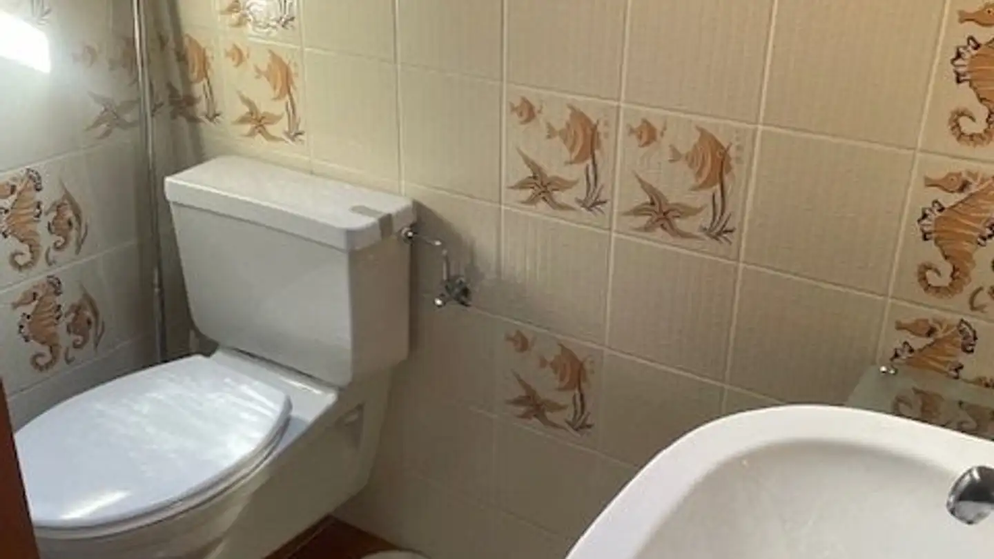 Single room for rent - Chemin des Cibleries 6, 1023 Crissier - Photo 4
