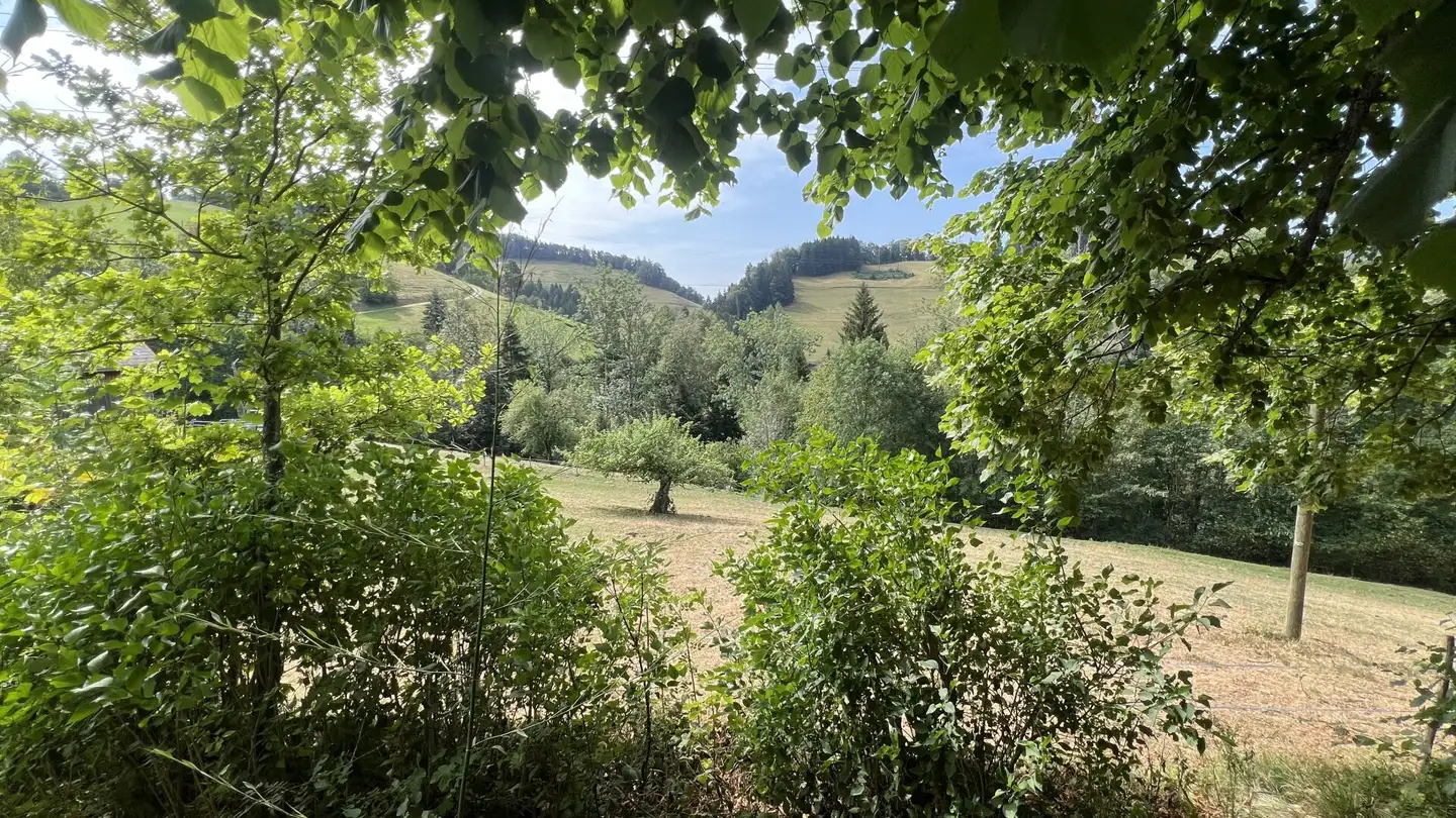 Ferme à vendre - Rotenfluestrasse, 9122 Ebersol - Photo 4