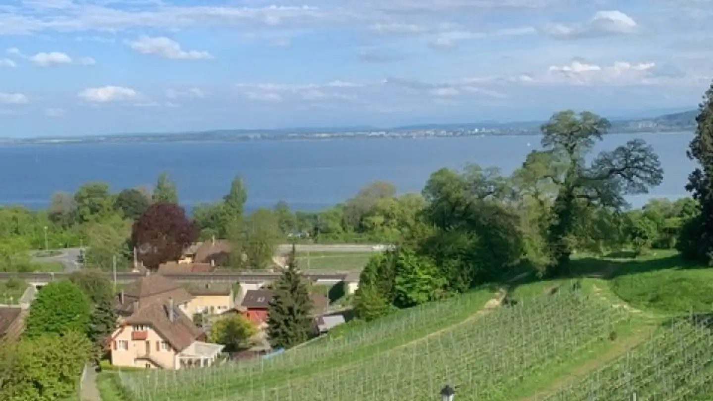 Bürofläche mieten - 2028 Vaumarcus - Foto 2