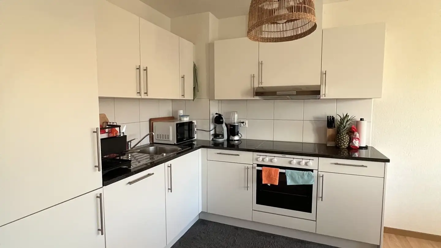 Appartamento in affitto - Auwiesenstrasse, 8050 Zürich - Foto 3