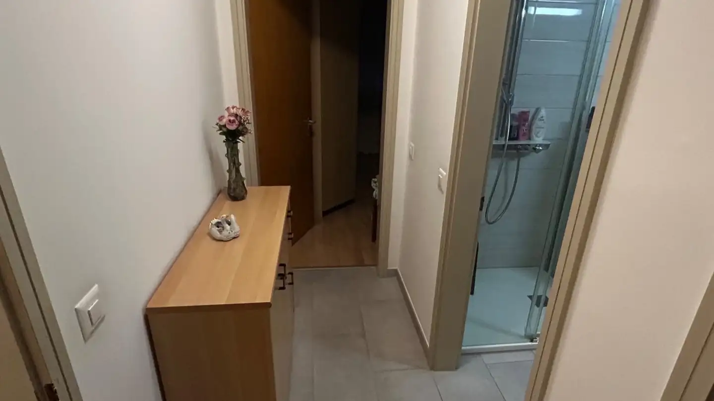 Wohnung mieten - 6527 Lodrino - Foto 4