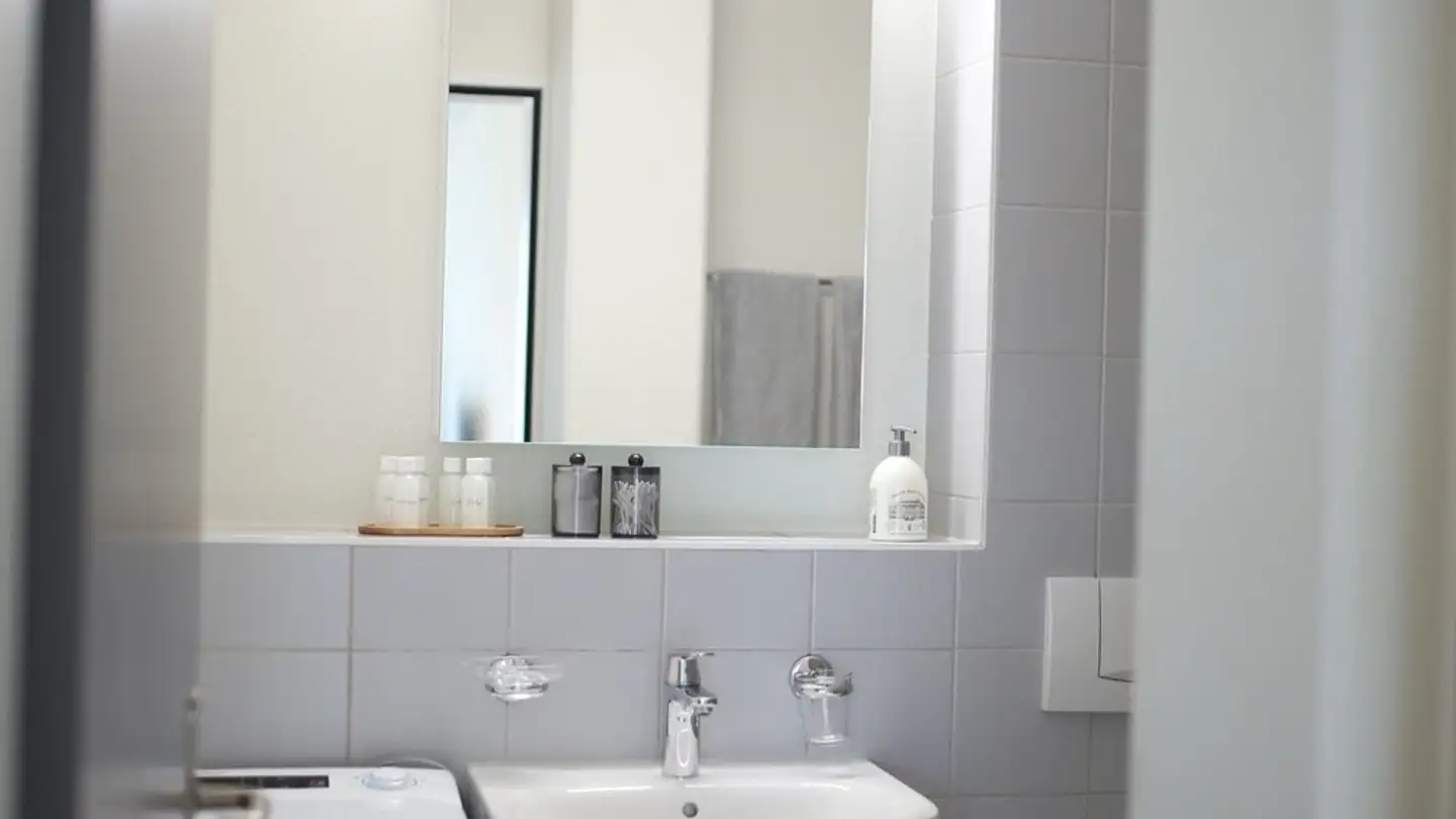 Furnished apartment for rent - Schwarzackerstrasse 29, 8304 Wallisellen - Photo 3