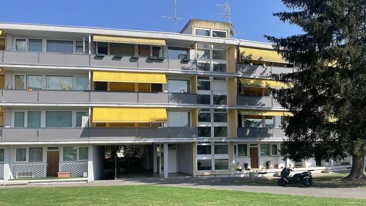 Espace de stockage à louer - Chemin De La Caroline 12, 1213 Petit-Lancy