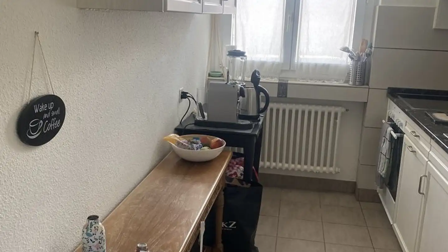 Appartement à louer - Langgrütstrasse 187, 8047 Zürich - Photo 3