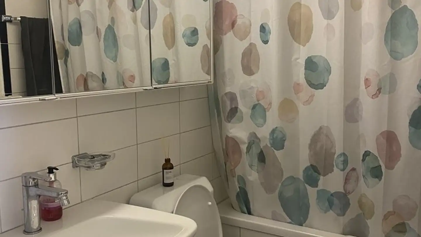 Appartement à louer - Langgrütstrasse 187, 8047 Zürich - Photo 4