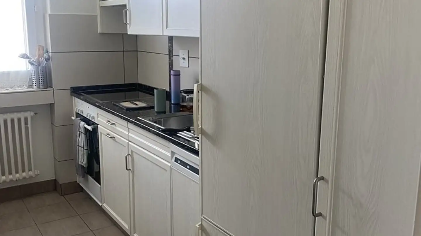 Appartement à louer - Langgrütstrasse 187, 8047 Zürich - Photo 2