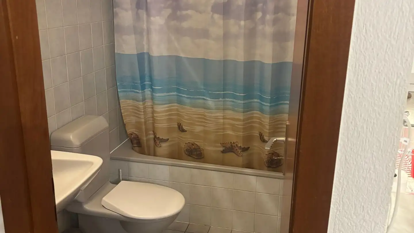 Appartement à louer - Chemin Des Semilles 19, 1870 Monthey - Photo 3