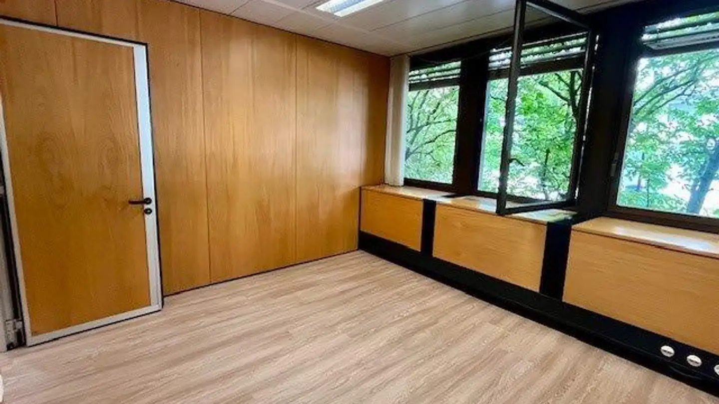 Bürofläche mieten - Via Giuseppe Cattori, 6900 Paradiso