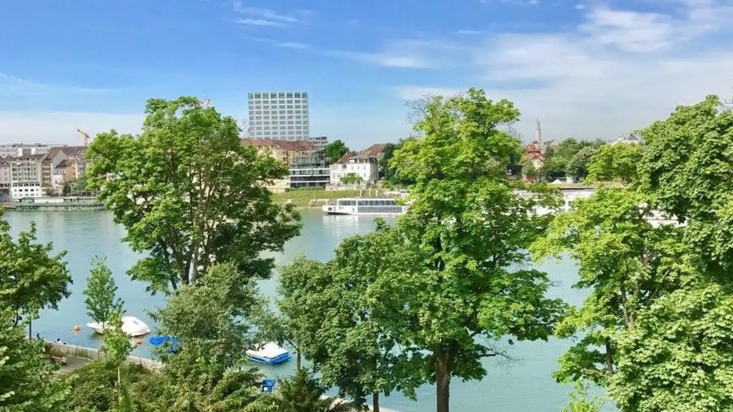 Attico in affitto - Unterer Rheinweg 132, 4057 Basel - Photo 4