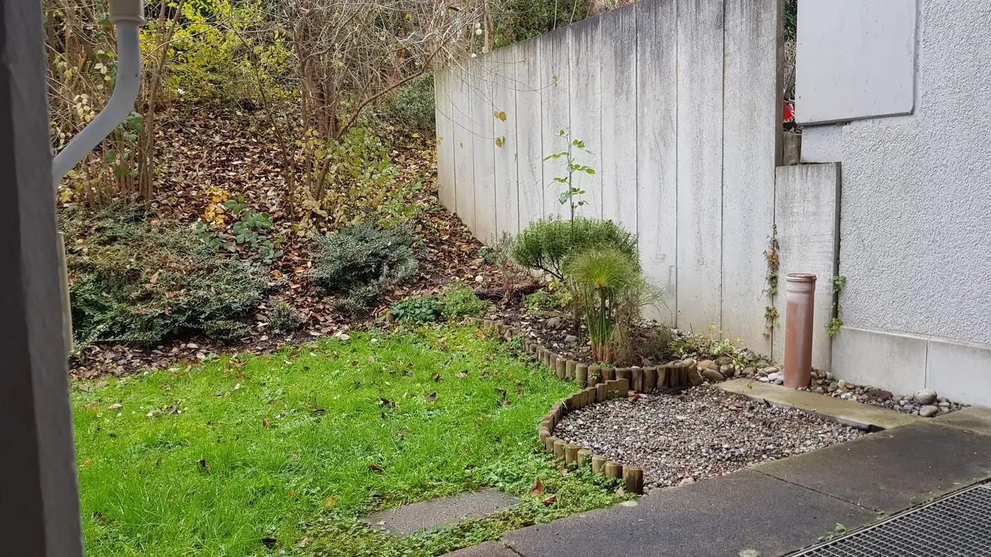 Appartamento in affitto - Alte Landstrasse 30, 8114 Dänikon ZH - Foto 3